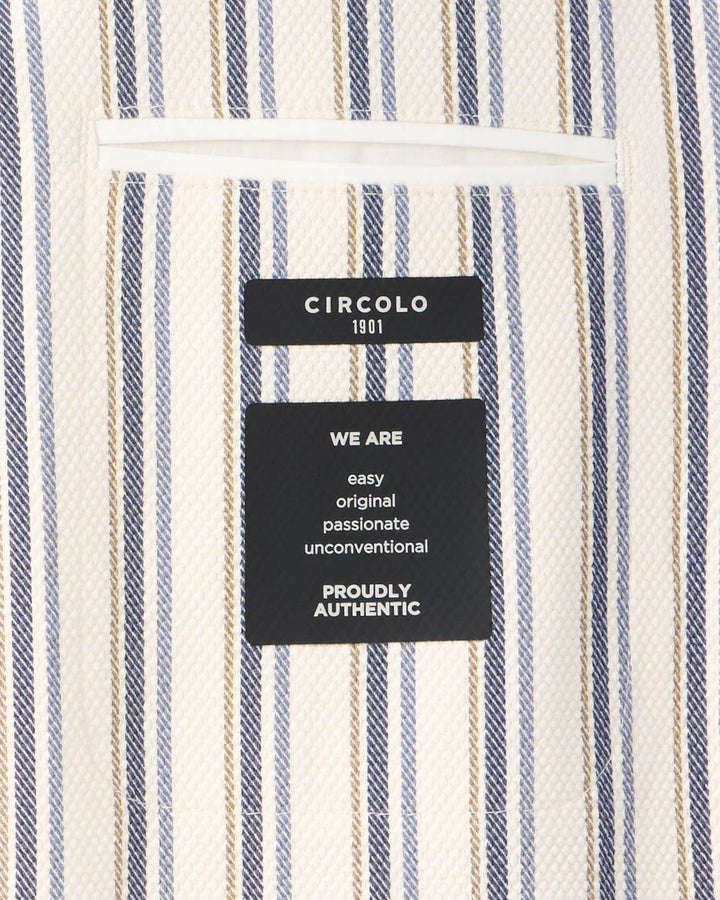 Multicolor Striped Jacket - Blue