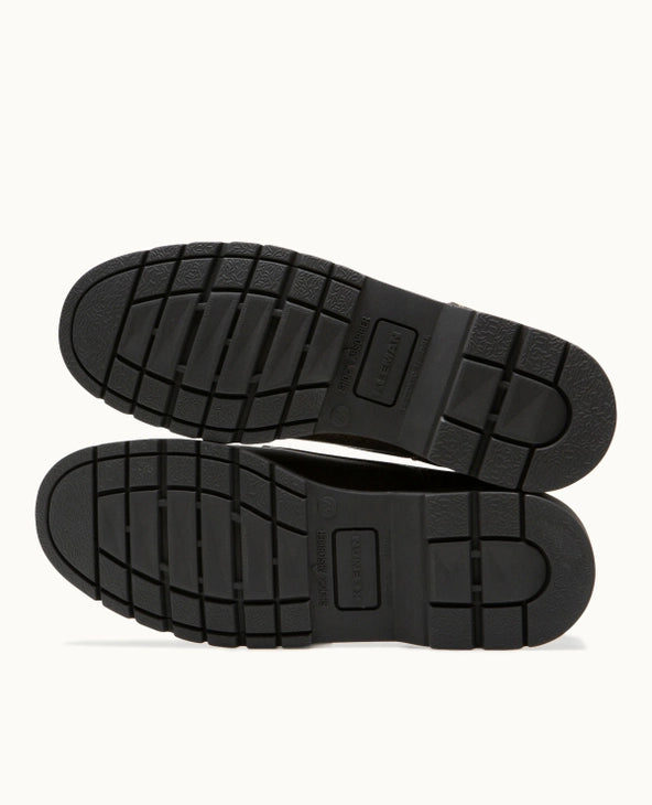 Frodan B VGT derby - Alezan