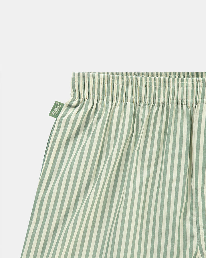 Boxer - Rayé vert