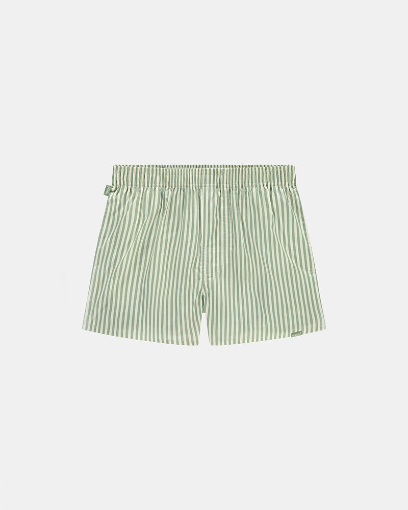 Boxer - Rayé vert