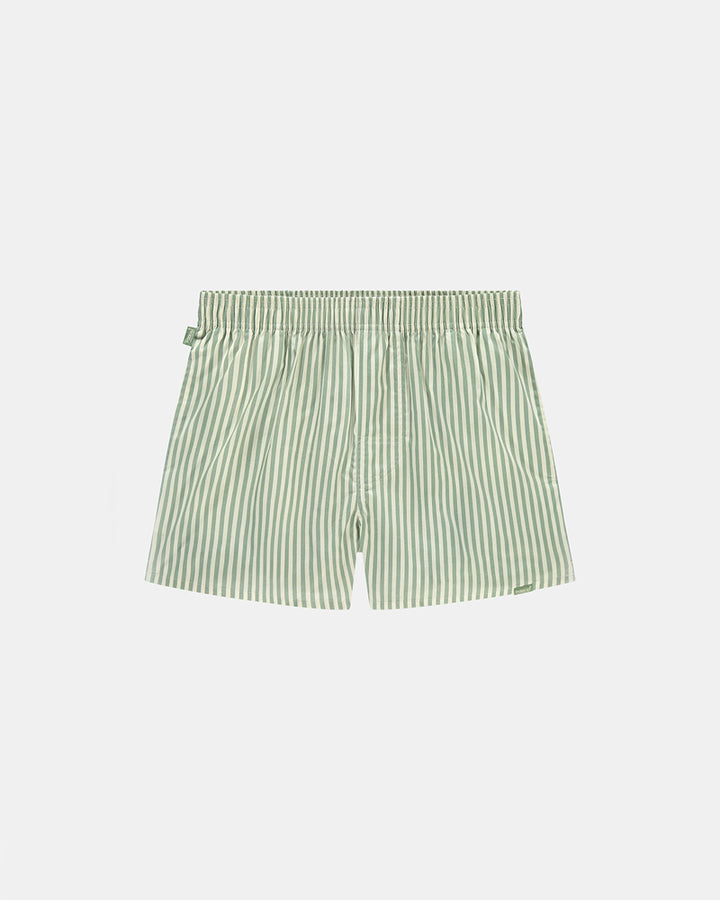 Boxer - Rayé vert
